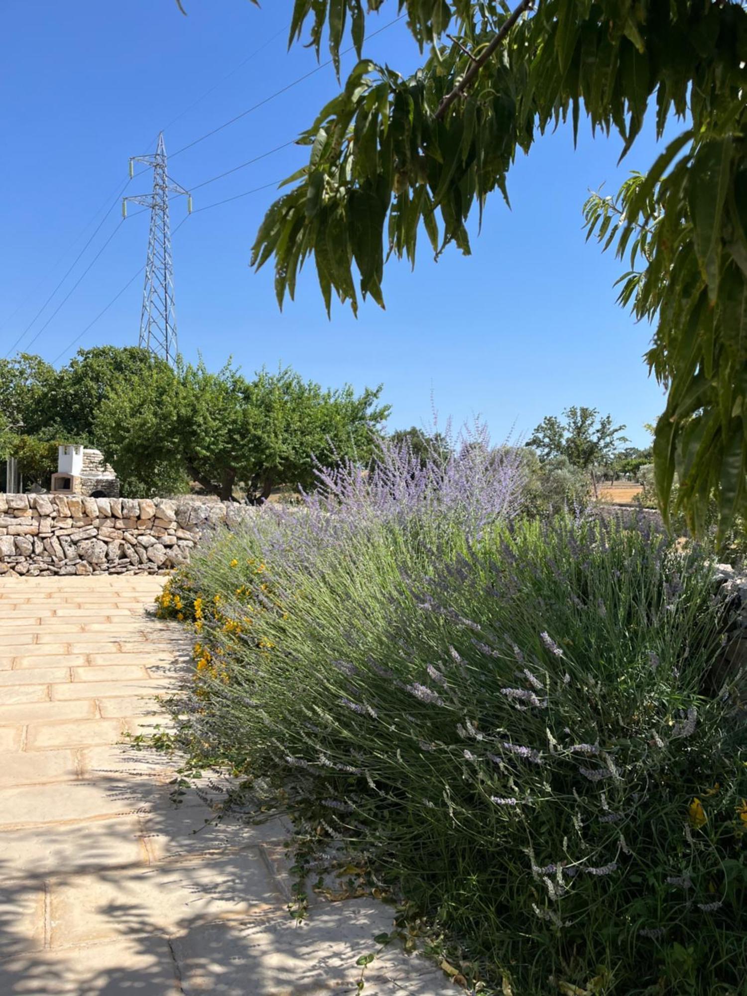 Bed and Breakfast Trulli Don Diego à Noci Extérieur photo